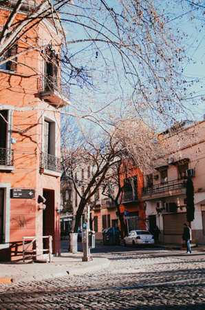 Street view of Chile Avenue, Buenos Aires, with old residential buildings with dry tree branches covering the skies during a cold autumn day and some cars parked outside.のeditorial素材