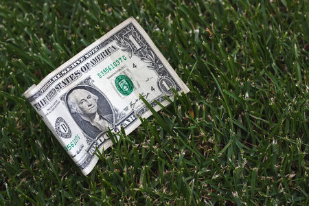 One dollar bill on green grass backgroundの写真素材