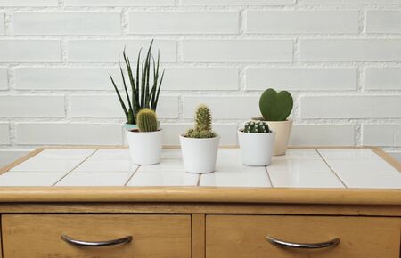 Modern kitchen or bathroom background. Cacti in pots on a table and a white brick wall