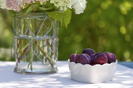 Bowl with plums on a table in the gardenの写真素材