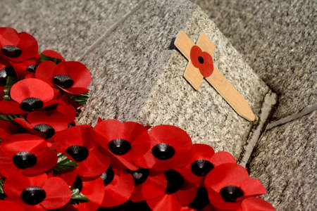 Remembrance Day Poppiesの写真素材