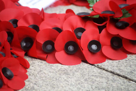 Remembrance Day Sceneの写真素材