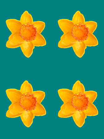 Abstract Floral Sceneの写真素材