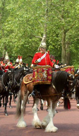Trooping of The Colour London Englandのeditorial素材
