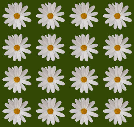 Abstract Floral Scene