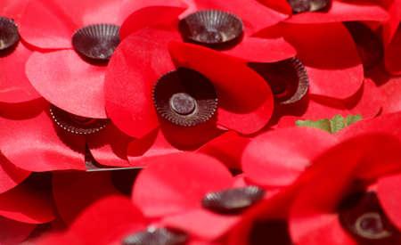 Remembrance Day Scene London Englandの写真素材