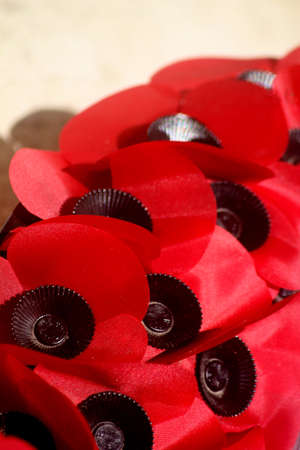 Remembrance Day Scene London Englandの写真素材