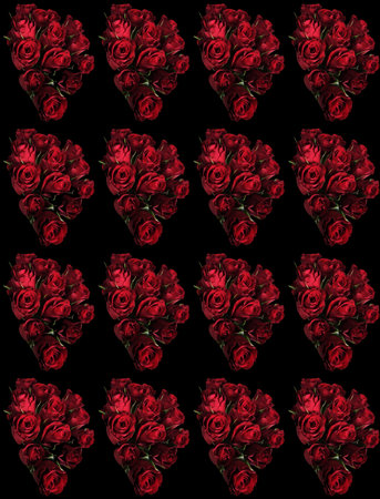Seamless pattern with red roses on black background. illustration.の写真素材