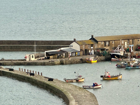 Lyme Regis harbour landscape Dorset Englandの写真素材