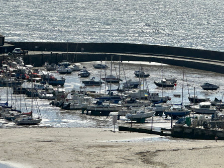 Fishing boats and yachts in the harbour of Lyme Regis Dorset Englandの写真素材