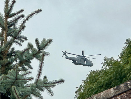 helicopter flying in the sky over the green trees in the park