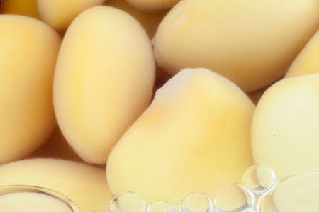 still life of yellow lupins mediterranean macro backgroundの写真素材