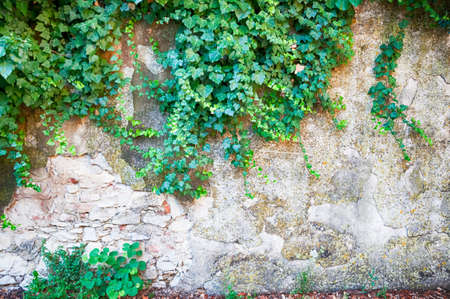 rural wall background cracked and damaged