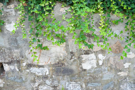 rural wall background cracked and damagedの写真素材