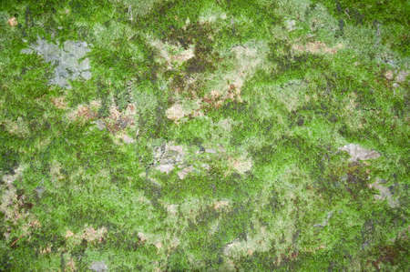 rural wall background cracked and damaged