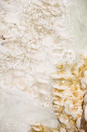 background of raw material in a sunny dayの写真素材