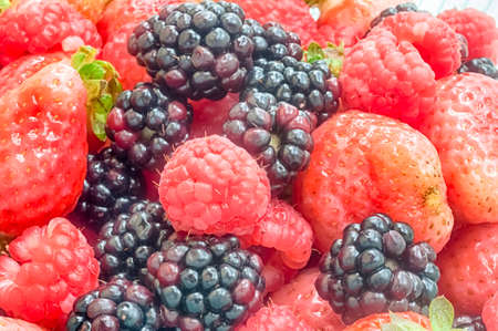 beautiful background hdr of forest fruit