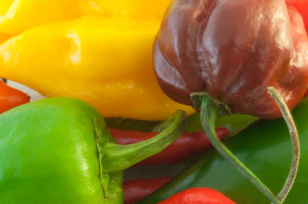 beautiful macro  background of chilli in studioの写真素材