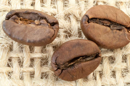 macro of coffee beans の写真素材