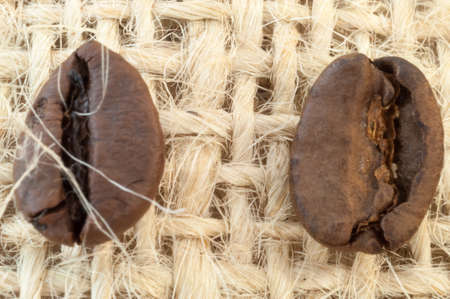 macro of coffee beans