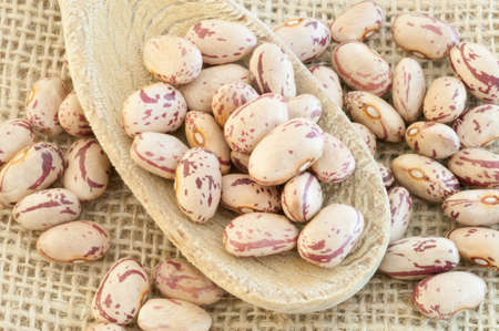 beautiful macro of colored pinto beans