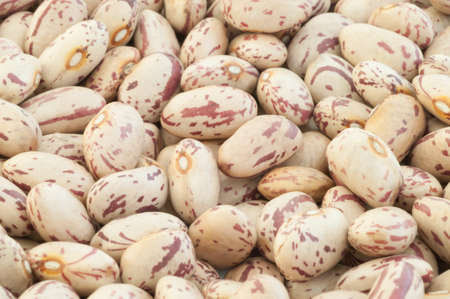 beautiful macro of colored pinto beans