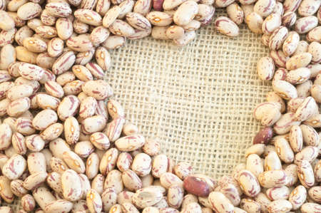 beautiful macro of colored pinto beans