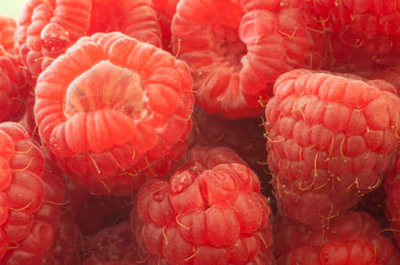 beautiful details of raspberry in studio