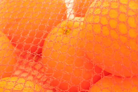 italian blonde orange background in packageの写真素材