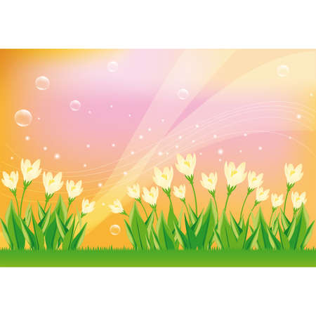 Spring cardのイラスト素材