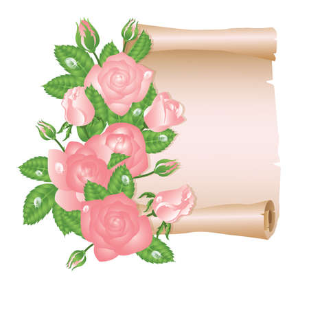 Love card with rose and old paper scroll. vector illustrationのイラスト素材