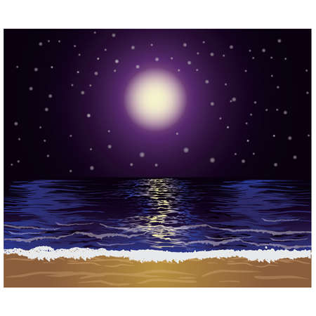 Beautiful tropical nightのイラスト素材