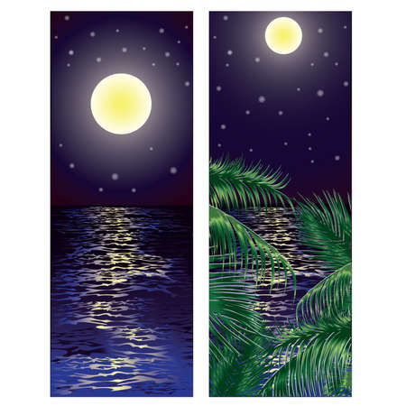 Two banners summer night, illustrationのイラスト素材