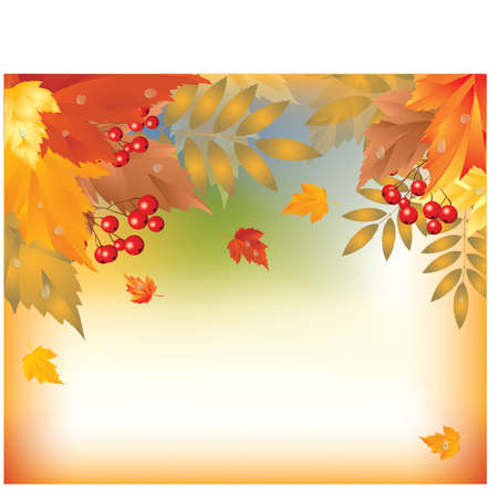 Beautiful Autumn Background, vector illustration のイラスト素材