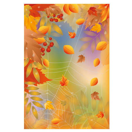 Autumn card with spider web, illustrationのイラスト素材