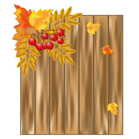 Autumn leaves over wooden background  のイラスト素材