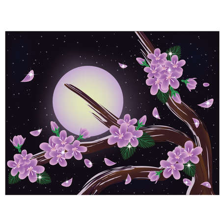 Sakura blossoms on night sky background, vector illustrationのイラスト素材
