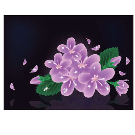 Sakura flowers card, vector illustration のイラスト素材