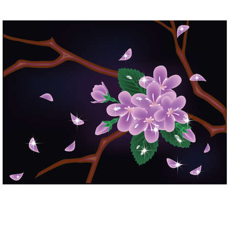 Cherry blossom cardのイラスト素材