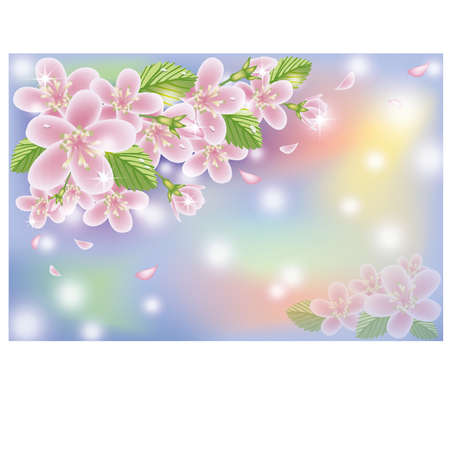 Spring cherry blossom card, vector illustrationのイラスト素材