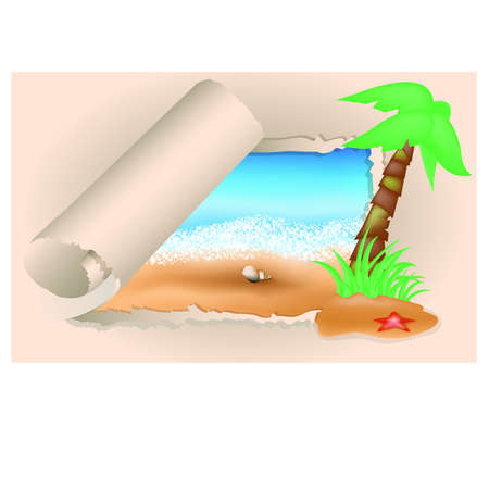 Summer card  Palms and shells illustrationのイラスト素材