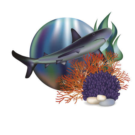 Underwater world banner with shark illustrationのイラスト素材
