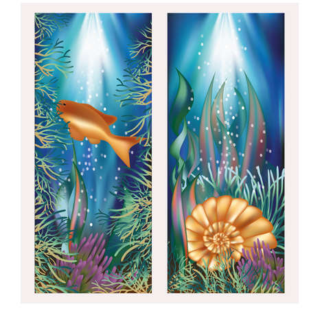 Underwater world two banners with golden fish and seashell illustrationのイラスト素材