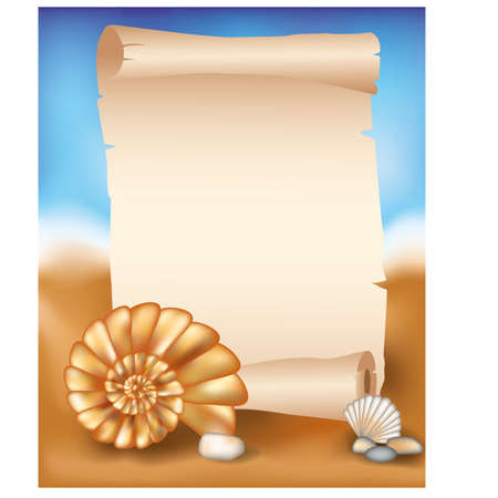 Blank paper scroll on summer background with seashellのイラスト素材
