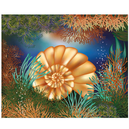Underwater world wallpaper with golden seashellのイラスト素材