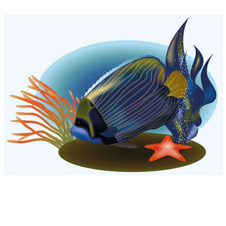 Marine life with tropical fish, vector illustrationのイラスト素材