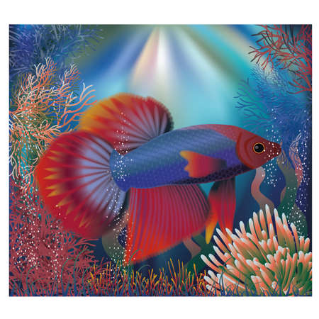 Underwater wallpaper with tropical well fishのイラスト素材