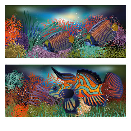 Underwater banners with tropic fish, vector illustrationのイラスト素材