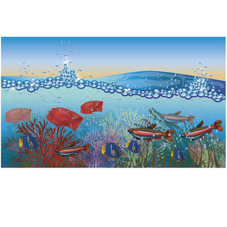 Underwater tropical background  vector illustrationのイラスト素材