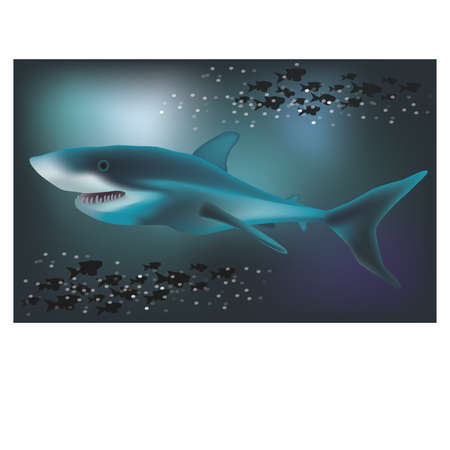 Underwater background with White Shark, vector illustrationのイラスト素材